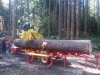 Got Logs? Portable Sawmill Services (serving all of Oregon)