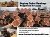 🌲🌲🌲 Buying Cedar Logs 🪵🪵🪵